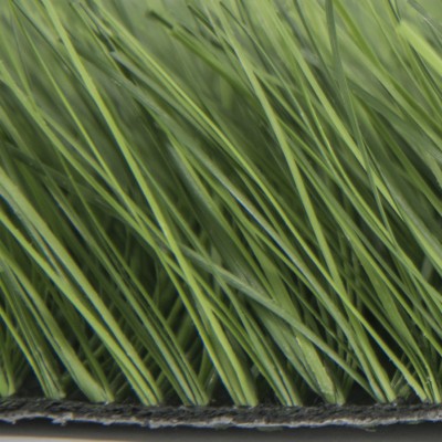 Artificial Grass