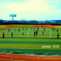 High quality futbol soccer turf football grass