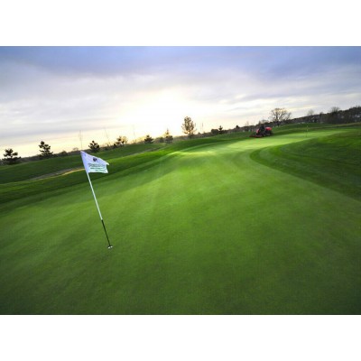 Golf Putting green Cesped artificial deportivo Sports Synthetic