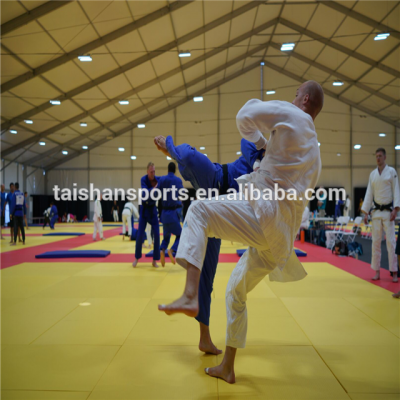 IJF Certificated Competition type Judo tatami Mats