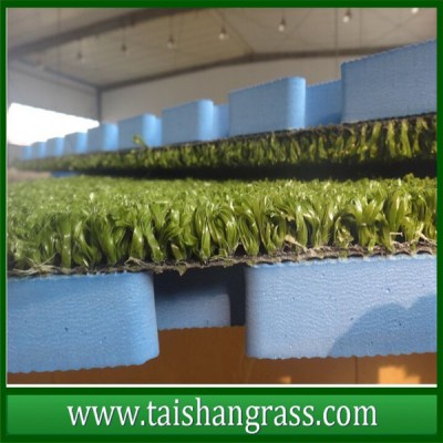 High Density Golf Putting green Artificial Grass Sports Synthetic